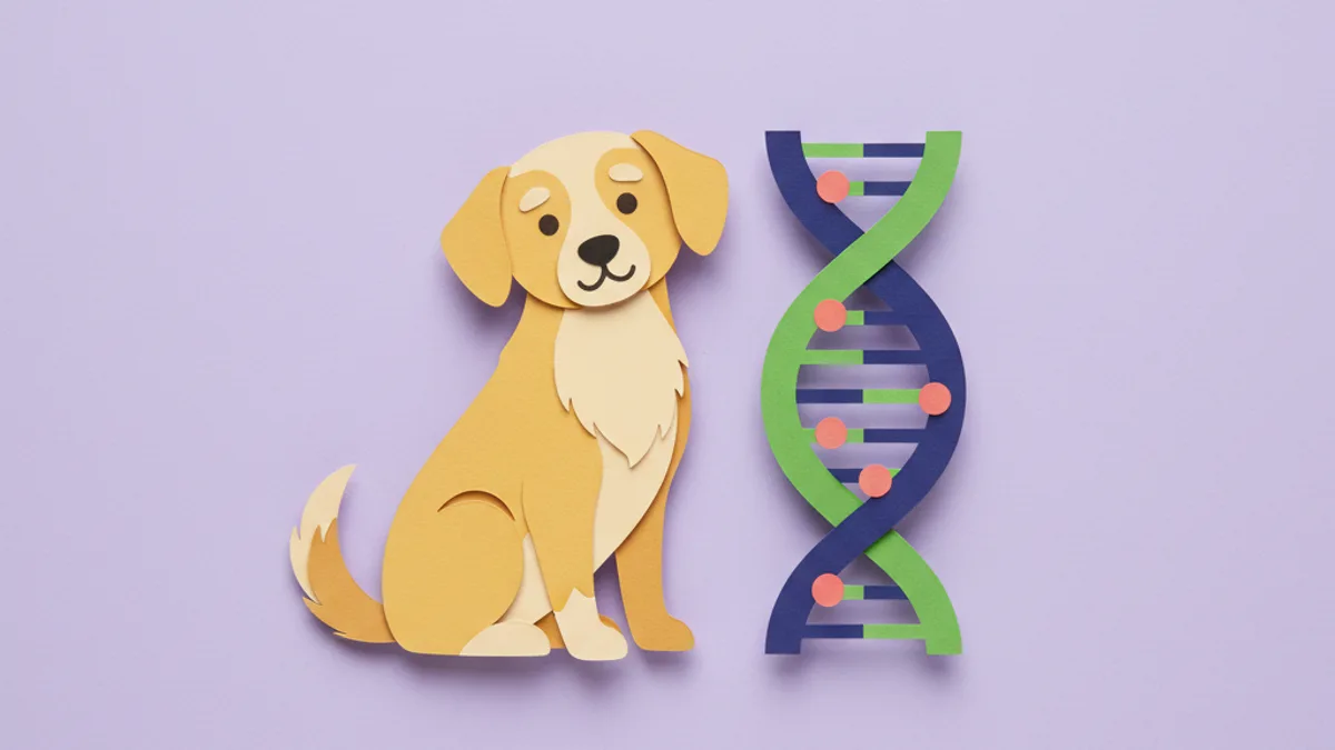 Paper-craft illustration of a dog with a DNA strand motif, showing the genetic, inherited basis of allergies in predisposed breeds