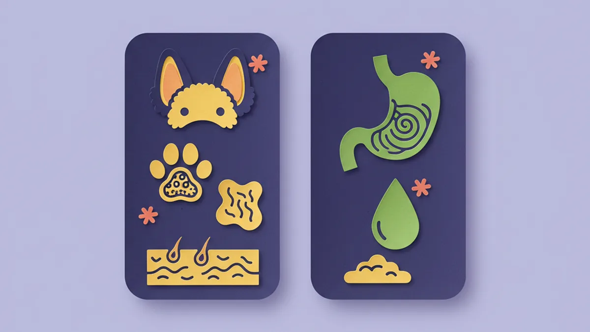 Paper-craft comparison showing food allergy signs (itchy skin, ears, paws) versus food intolerance signs (upset stomach, loose stool) in dogs