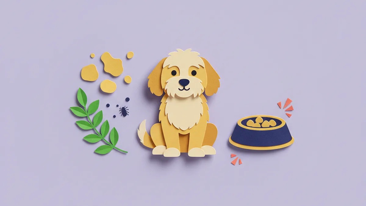 Paper-craft split scene with pollen, grass and dust mites on one side and a dog food bowl on the other, with a calm itchy dog in the middle